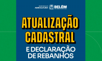 SEC. DE AGRICULTURA REALIZA ATUALIZAÇÃO CADASTRAL PARA REBANHOS